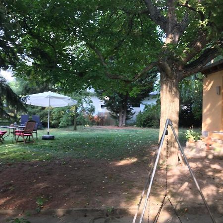 Biggi'S Garten-Finca فلونهايم المظهر الخارجي الصورة
